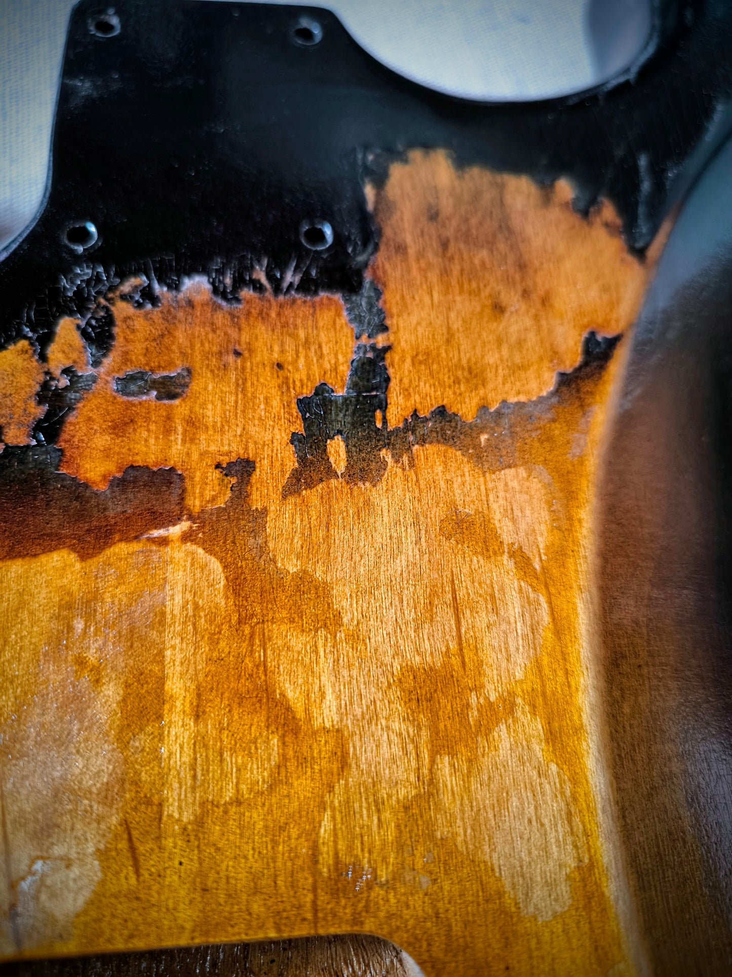 Cuerpo estilo Stratocaster®. 3TS. Aliso americano 2 piezas. Nitro. 1,8kg