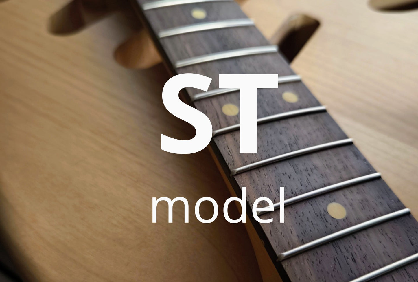 Stratocaster custom Order